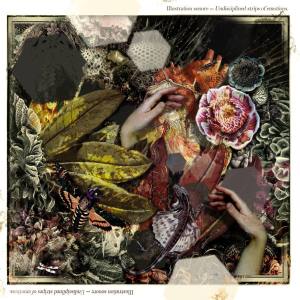 Illustration Sonore - okładka