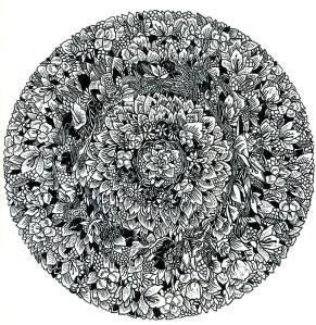 Some Ember - Some Ember (LP 2014)