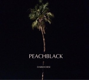 Peachblack - Dark Horse (2014)