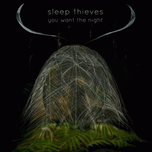 Sleep Thieves - You Want The Night (2014)