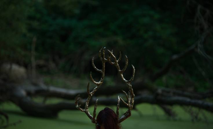 "Wiekuiste piękno" - na planie teledysku (fot. Tomasz Gotfryd)