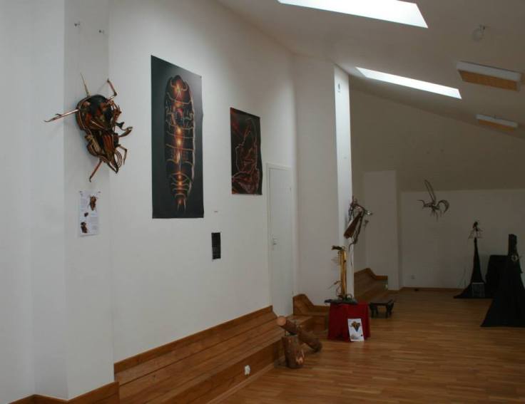 Ekspozycja wystawy "Piękno czai się w mroku" (MGOK Lidzbark)