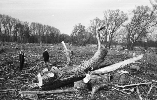 November Növelet (fot. Alice Angeletti / źródło: novembernovelet.de)