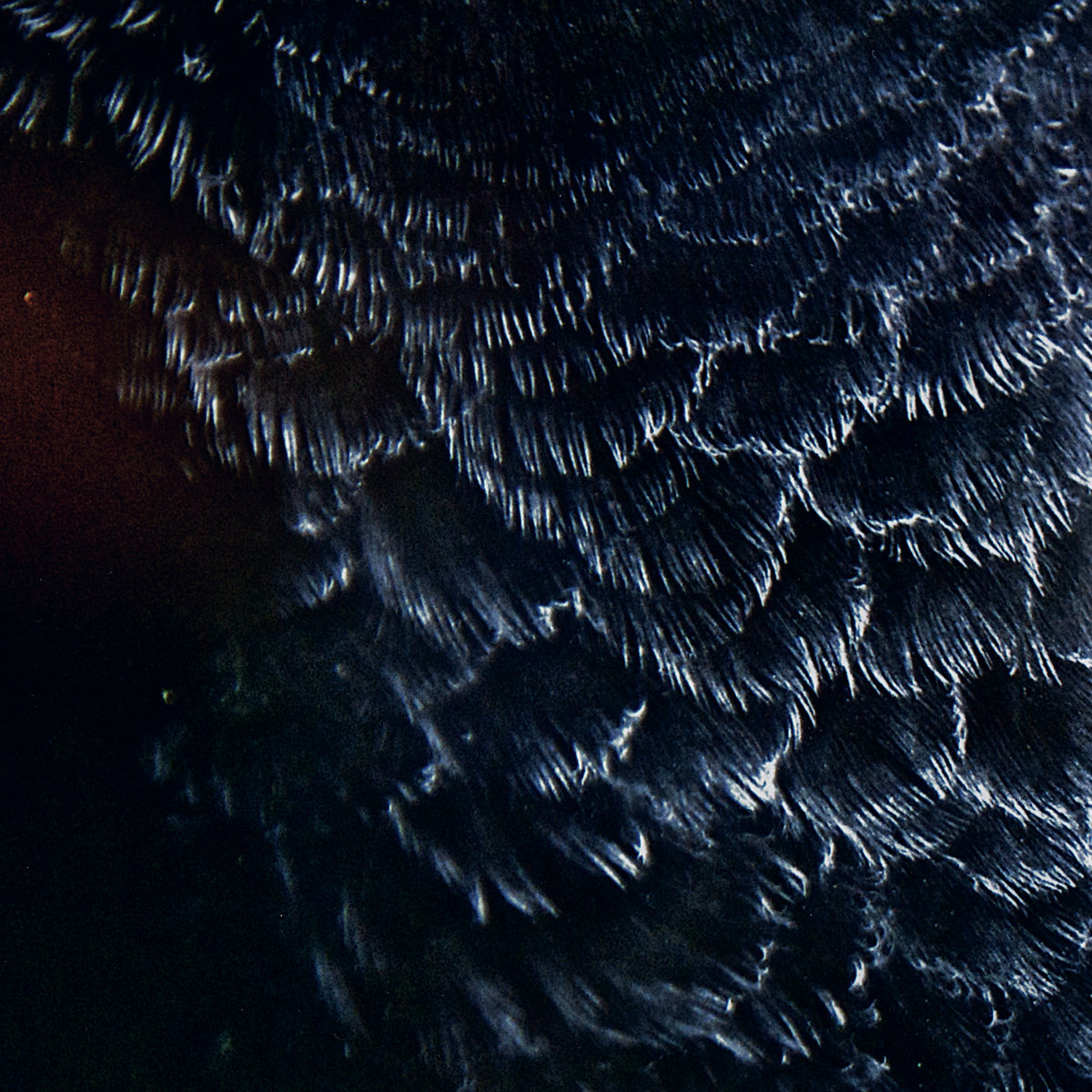 H Ø R D - Focus On Light (LP; 2016)