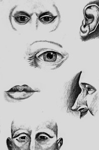 Monika Kłobucka - Studium