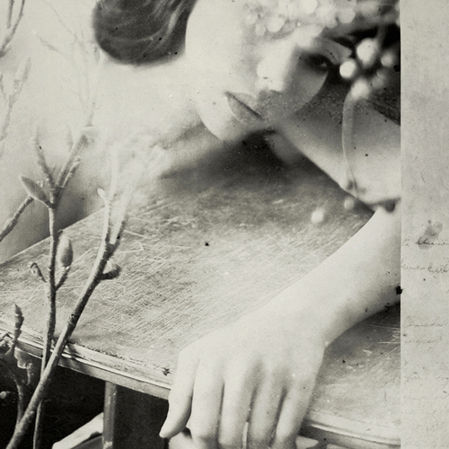 Technophobia: Flicker Out (LP; 2016)