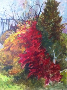 Dominika Daszewska - bez tytułu