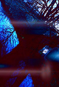 Dominka Daszewska - fotografia