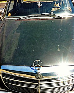 Dominika Daszewska - fotografia