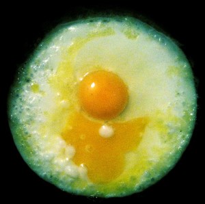 Dominika Daszewska - fotografia