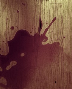 Dominika Daszewska - fotografia