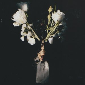 QUAL - Cupio Dissolvi (EP; 2017)