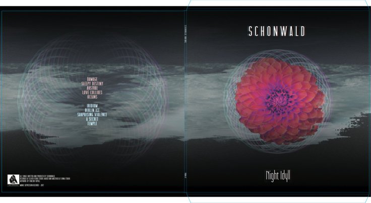 Schonwald - Night Idyll (vinyl cover)