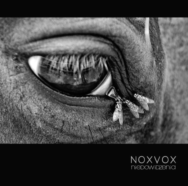 NoxVox - Niedowidzenia (LP; 2017)