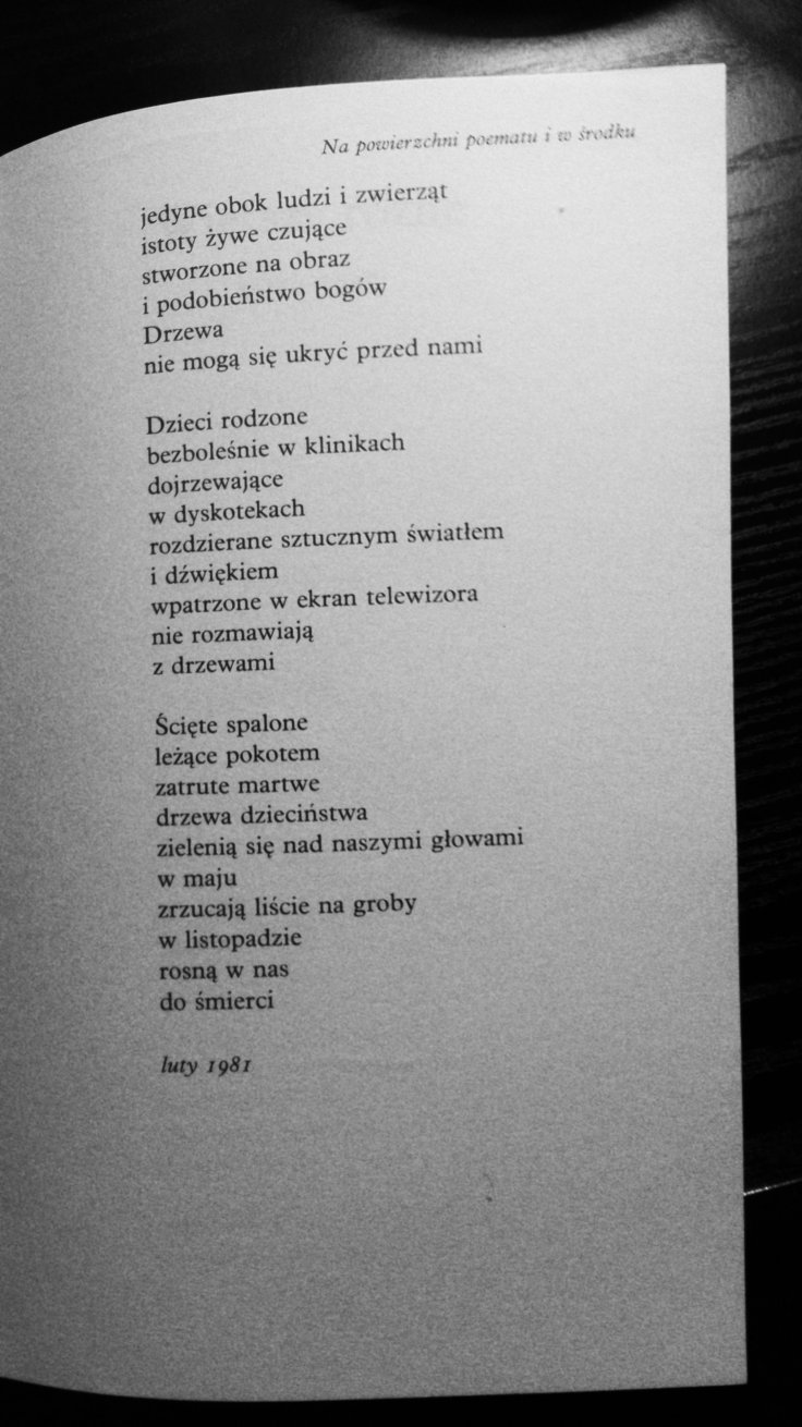 Tadeusz Różewicz - Na ścięcie drzewa (1981; fragment)