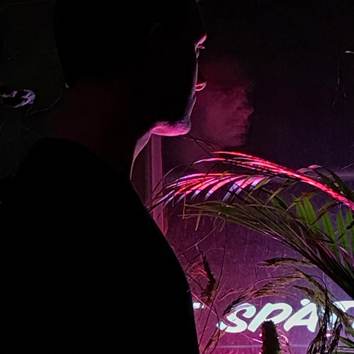 Normal Echo - W Pół (EP; 2019)