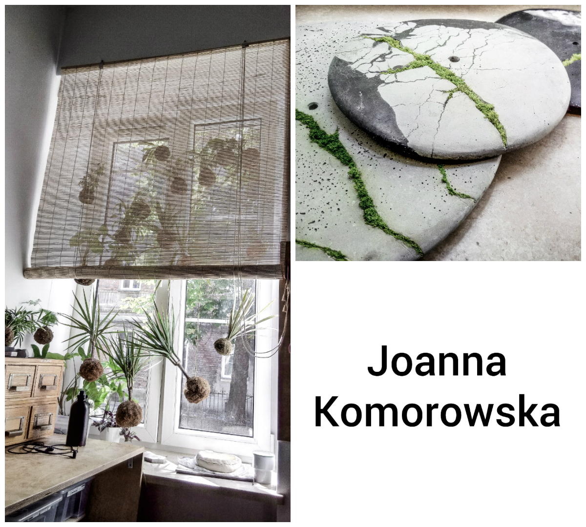 Joanna Komorowska - Wave Press Obrazy