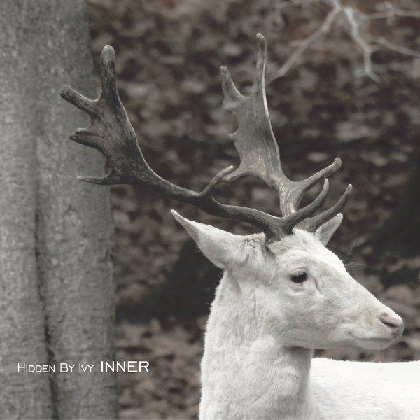 Hidden By Ivy - Inner (LP; 2019)