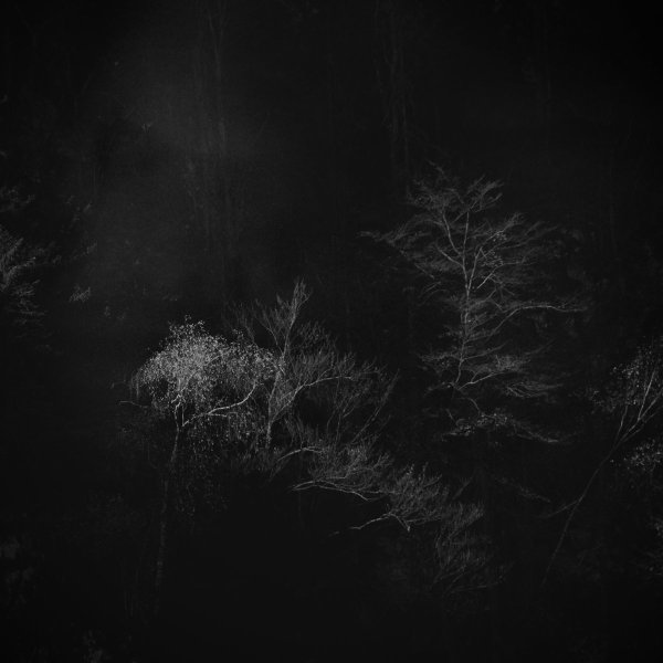 Vlimmer - XIIIII (EP; 2019)