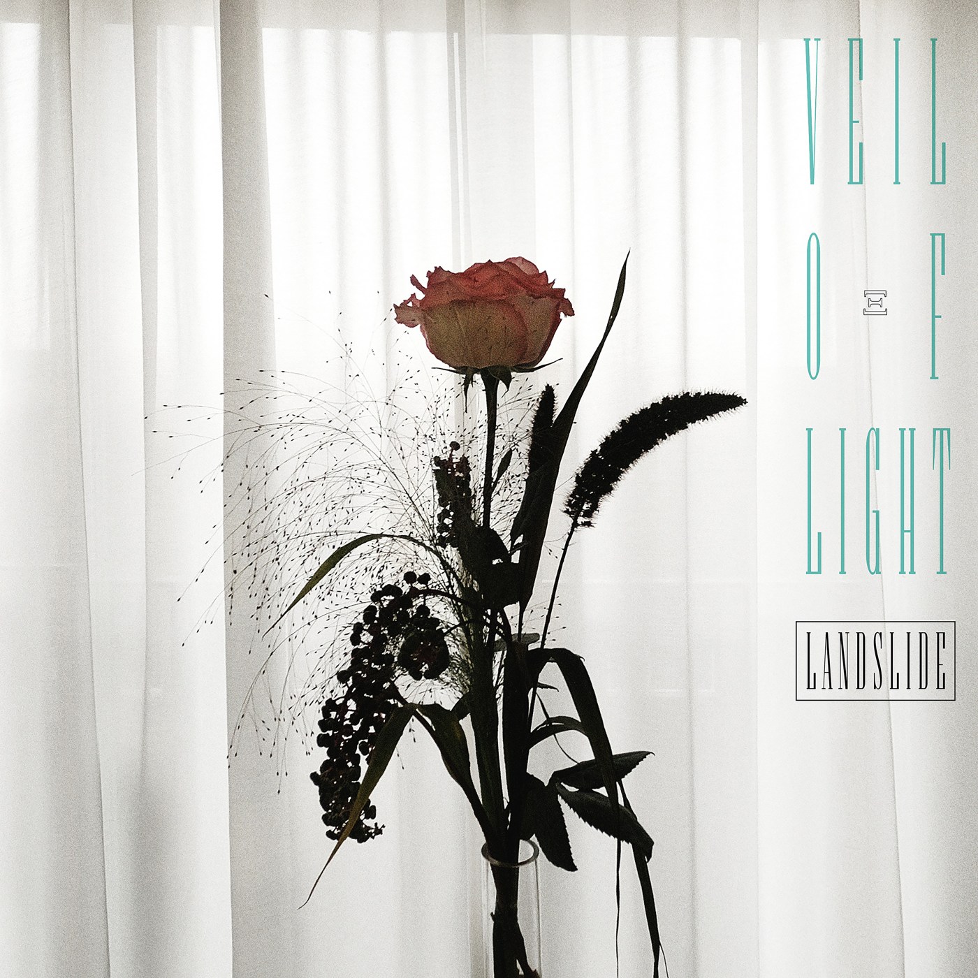 Veil Of Light - Landslide (LP, 2021)