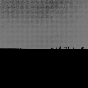 Peppy Pep Pepper - Forced Distance (LP, 2021)