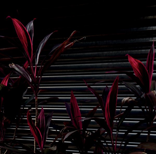 Fine Place - This New Heaven (LP, 2021)