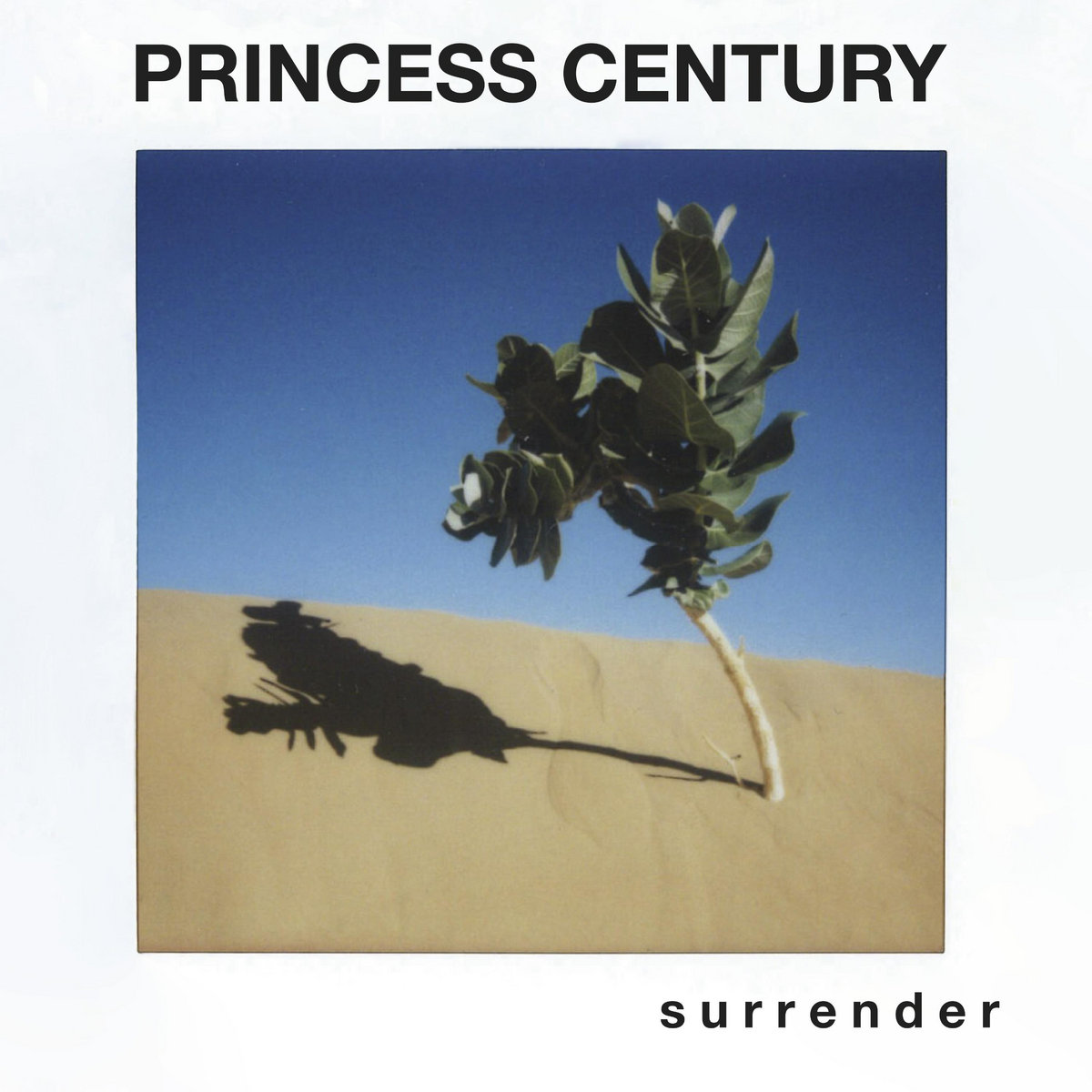 Princess Century - Surrender (LP, 2021)