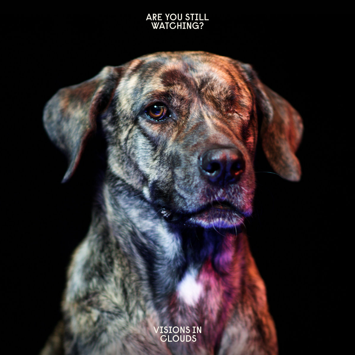 Visions in Clouds - Are You Still Watching? (LP 2022)